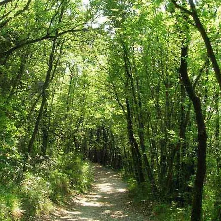 Gialla Porto Recanati