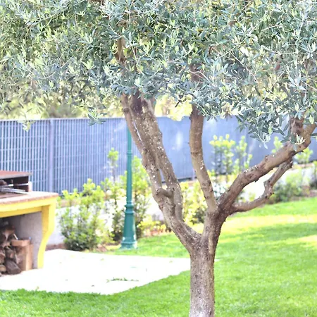 Guest house Gialla *